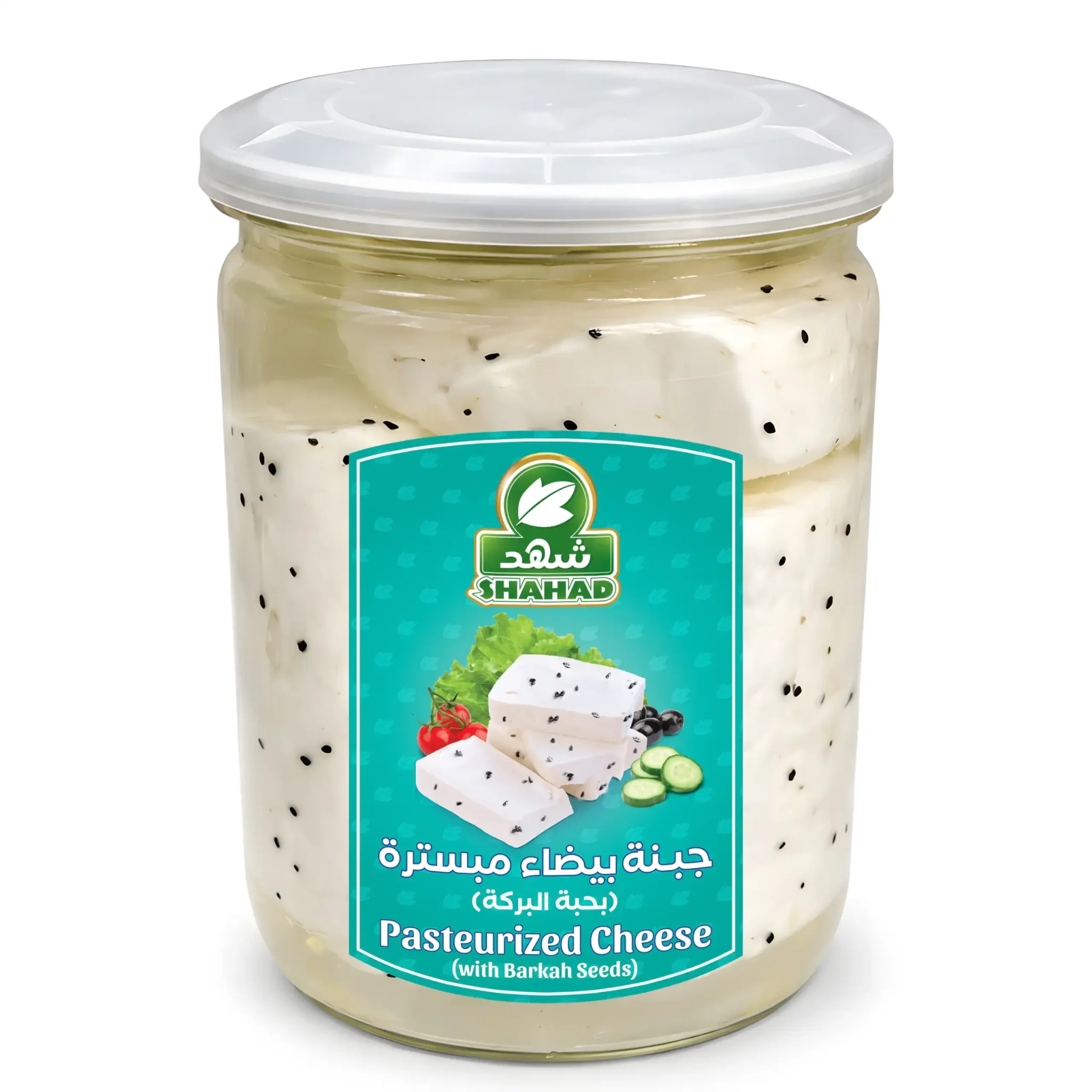شهد جبنة بيضاء مبسترة